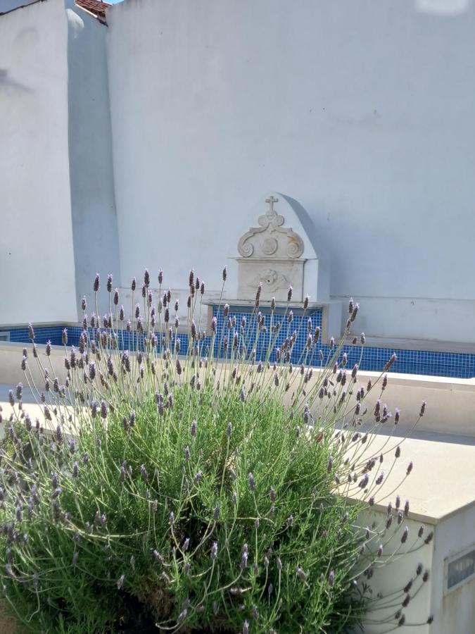 Apartment Pateo Dos Oliveira - Casa Da Cocheira